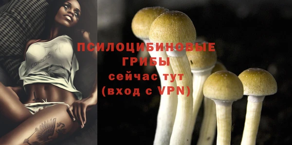 ешки Армянск
