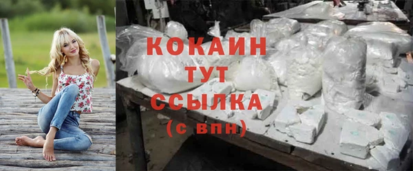 сатива Сафоново